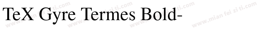 TeX Gyre Termes Bold字体转换
